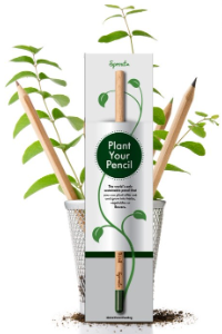 The Sprout Pencil: Planting Seeds of Sustainability, One Pencil at a Time